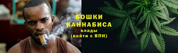дурь Белокуриха