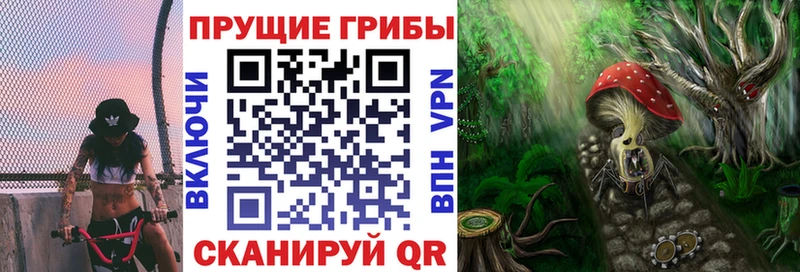Купить  Вязьма  Псилоцибиновые грибы Magic Shrooms 